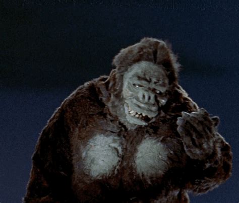 gif king|king kong funny photos.